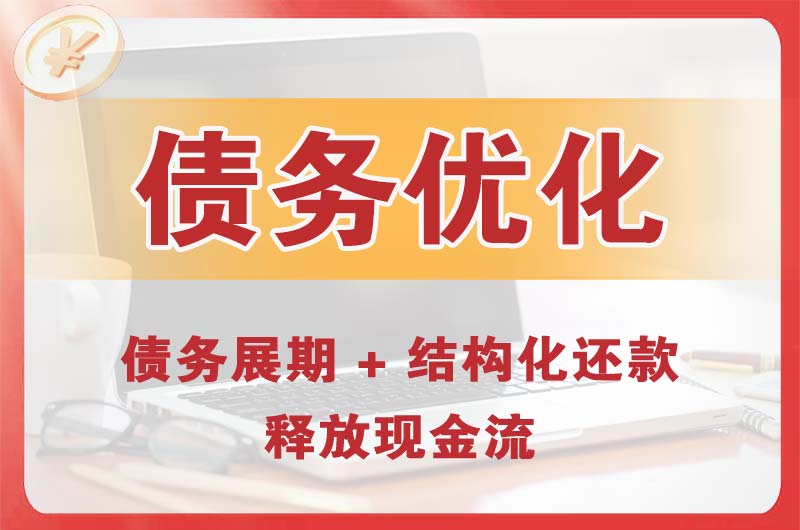彝良债务优化