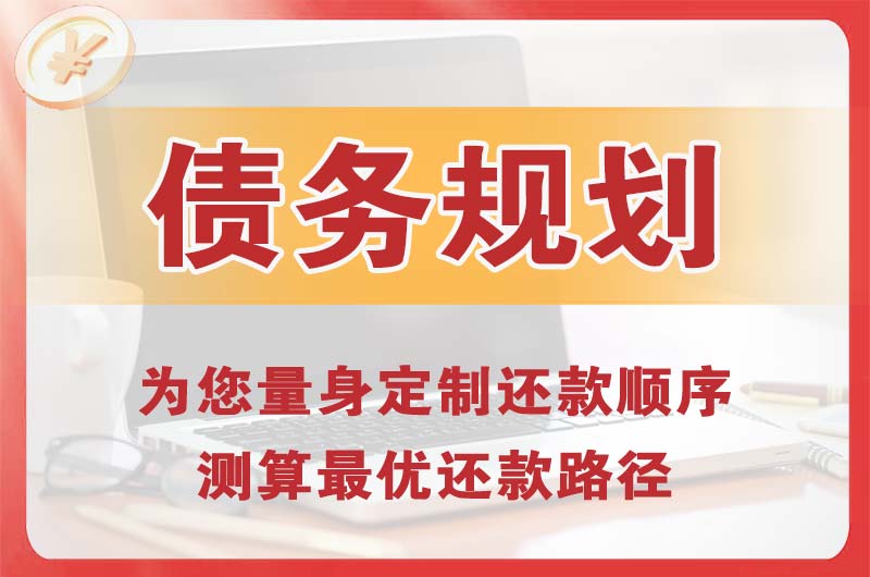 彝良债务规划